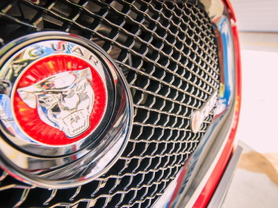  Jaguar c      