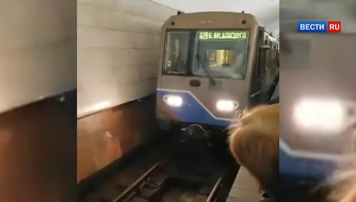 Движение поездов на серой ветке метро восстановлено после гибели пассажира