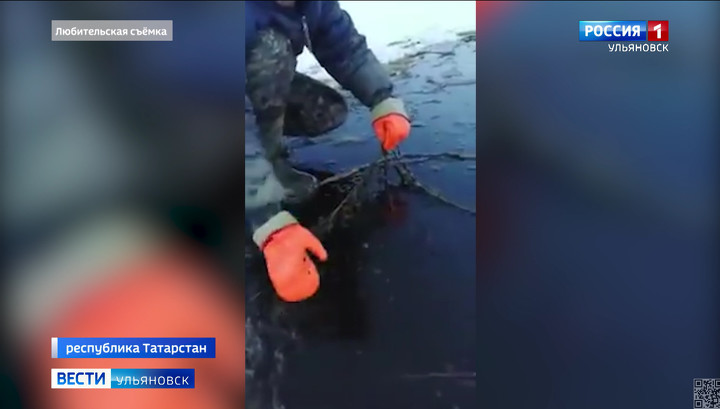 Мутная Волга вызвала беспокойство рыбаков сразу двух регионов