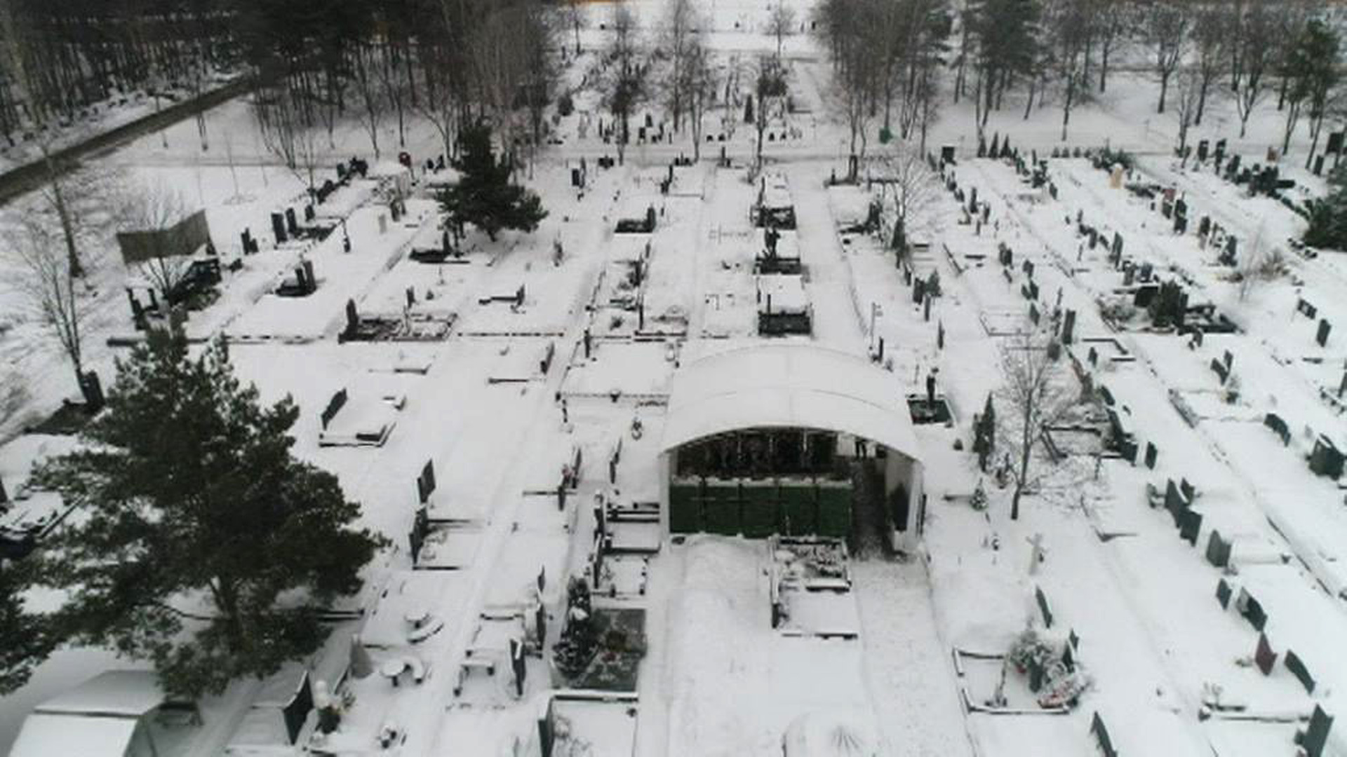 Диана Лебедева на Троекуровском кладбище