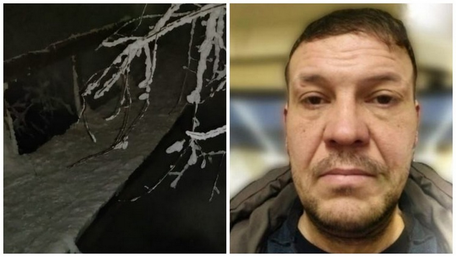 Церебрамин Купить В Новосибирске
