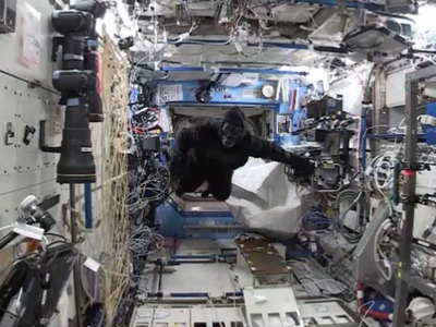 Астронавты разыграли нападение гориллы на МКС. Видео