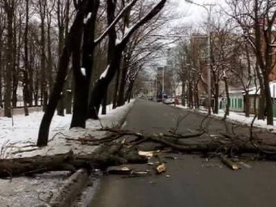 Ураган в Ставрополье оставил без воды и света 18 тысяч местных жителей