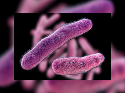 Хищные бактерии стали уникальным 
