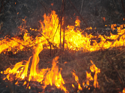 Из-за степного пожара с хутора под Волгоградом эвакуировали 600 человек