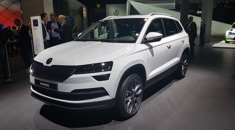 Skoda piter ru