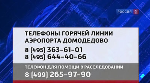 аэропорт домодедово горячая линия круглосуточная