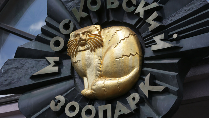 Московский зоопарк дарит всем гостям скидку на билет 31 декабря
