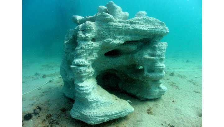 Ученые: Большой Барьерный риф может окончательно обесцветиться