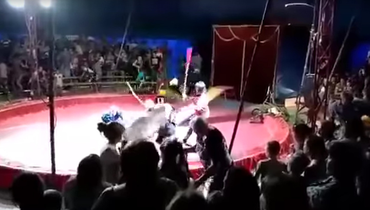 Медведь напал на дрессировщика во время выступления в цирке. Видео