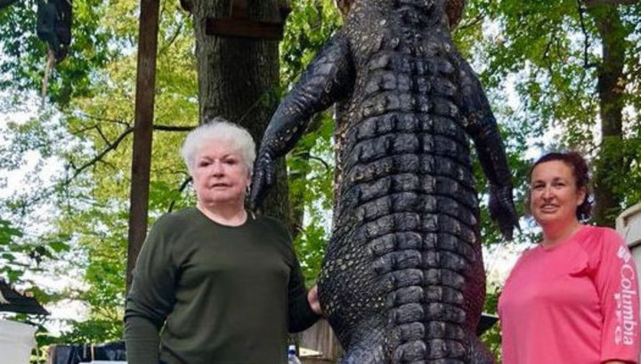 Прабабушка-мстительница из Техаса убила огромного аллигатора из-за давней обиды