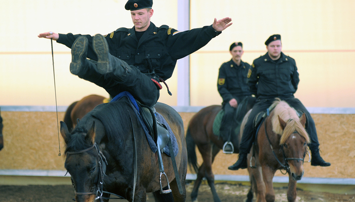 В Саратове из-за украденных денег голодают полицейские лошади