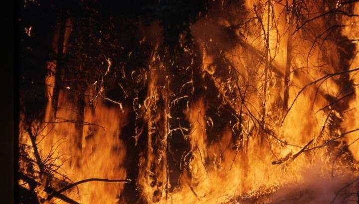 Из-за природных пожаров в Джергинском заповеднике введен режим ЧС