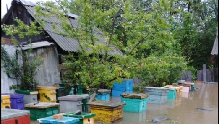 Погода в приморском крае губерово. Село Губерово Приморский край. Губерово Приморский край.