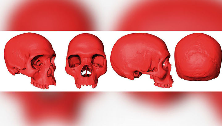 Черепов 1. Мальта́ (ma1) homo sapiens череп. Как выглядит череп Львов.