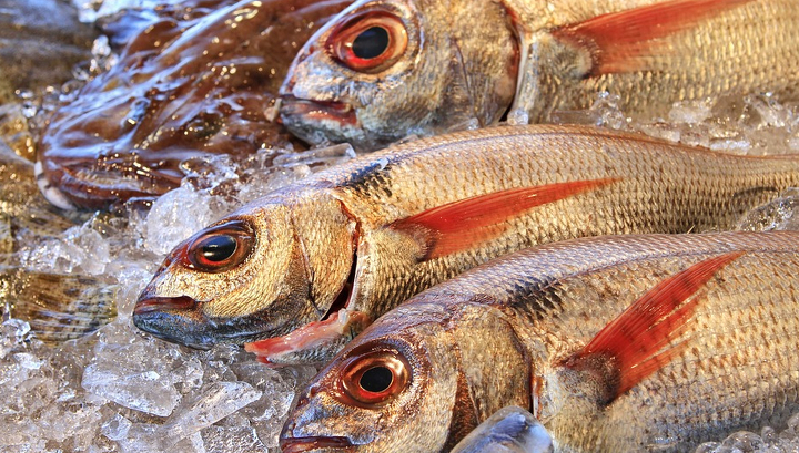 Специалисты нашли на томских прилавках рыбу с высоким содержанием ртути