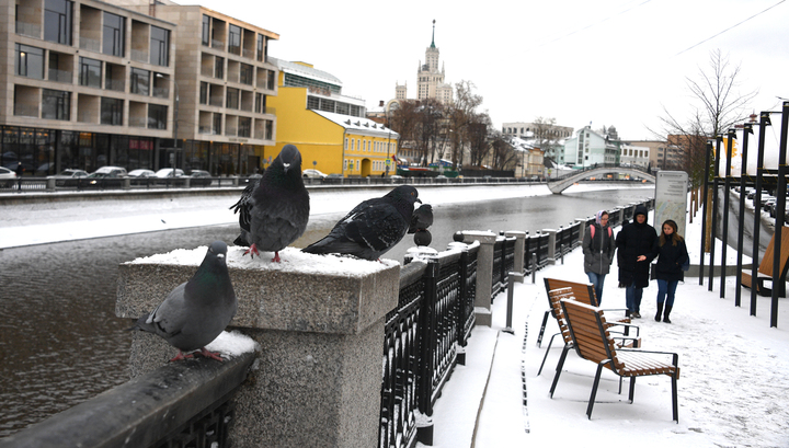 Москвичам придется пережить неделю снегопадов и скачков давления