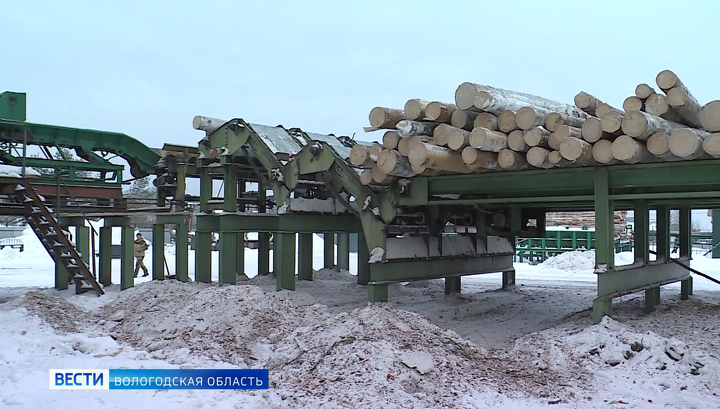 Вологодские лесопромышленники несут убытки из-за теплой погоды
