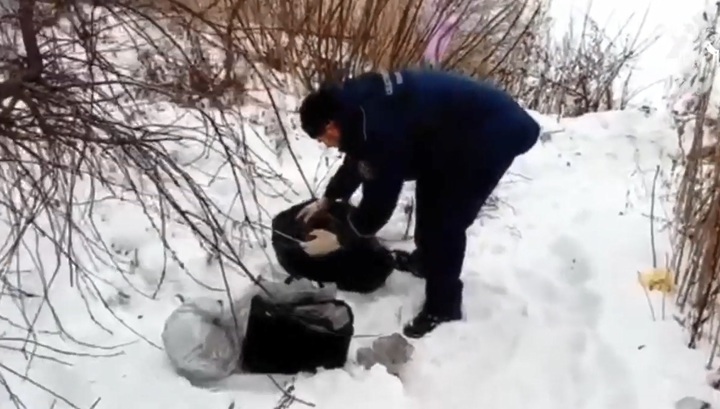 СК обнародовал кадры с места убийства четырехмесячного ребенка в Самарской области