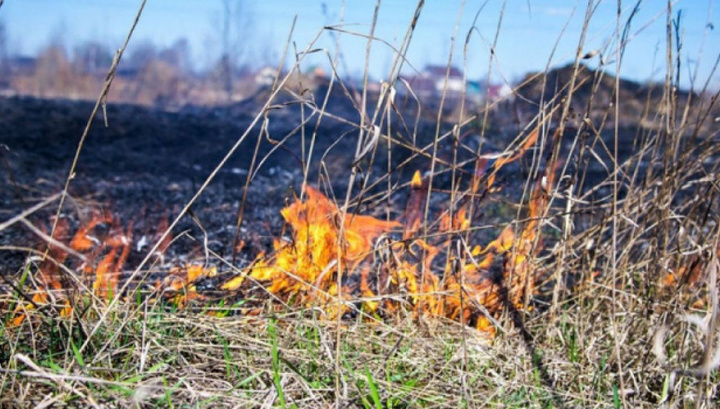 В Воронежской области под угрозой пожаров окажутся 99 населенных пунктов