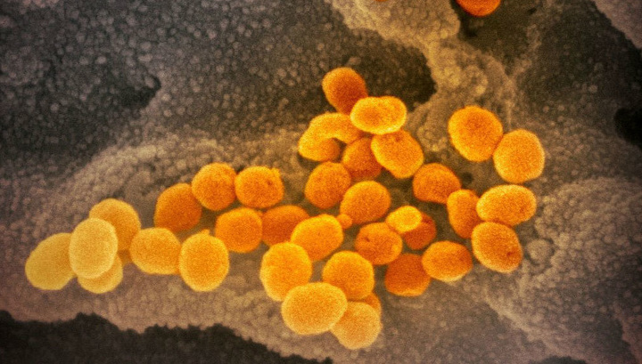 Крупнейшее исследование коронавируса охватило 44 тысячи случаев заражения