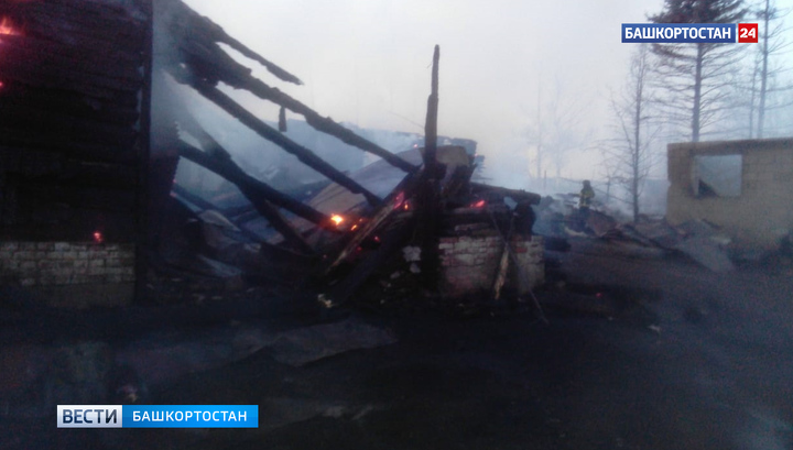 На ферме в Башкирии в результате пожара погибли десятки домашних животных