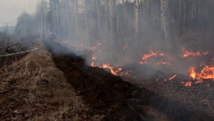 Лес в Шелеховском районе чуть не сгорел по вине туристов