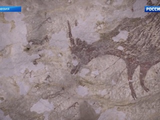 Ученые обнаружили в Индонезии древнюю наскальную живопись