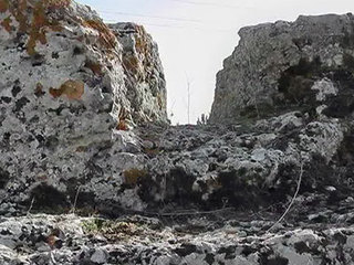 На территории древнего Херсонеса открылась выставка