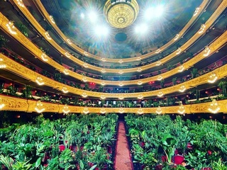 В оперном театре “Лисео” посвятили концерт растениям