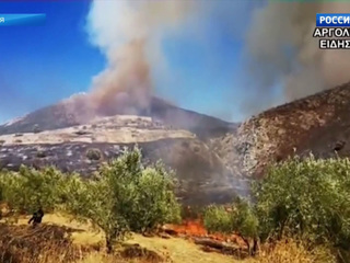 Лесные пожары в Греции достигли древнего города Микены