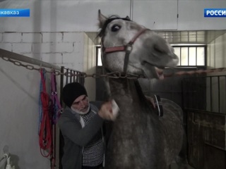В Северной Осетии возрождают конный театр „Нарты“