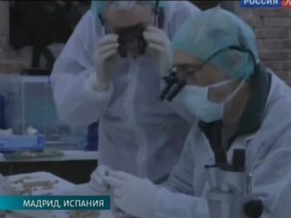 В Испании найдены останки Мигеля де Сервантеса