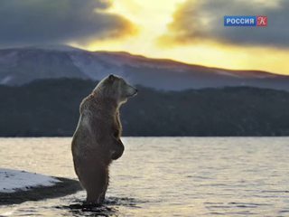 РГО расскажет об Арктике и поделится секретами фотосъемки