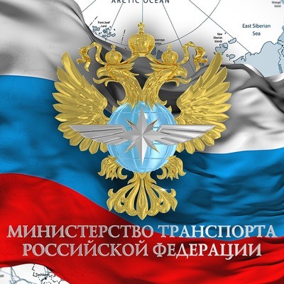 Минтранс рассмотрит возможность введения доплаты за провоз толстых котов в ручной клади Минтранс рассмотрит возможность введения доплаты за провоз толстых котов в ручной клади