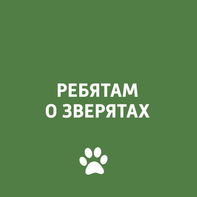 Ребятам о зверятах Ребятам о зверятах