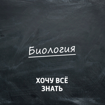 Хочу всё знать. Биология Хочу всё знать. Биология