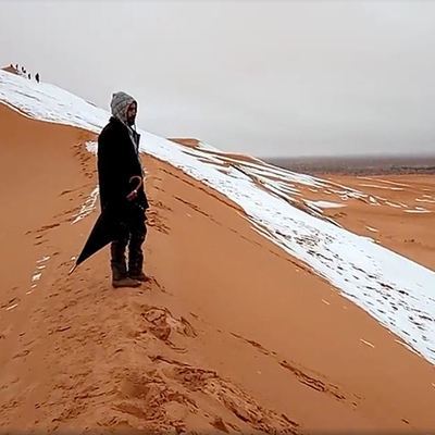 В будущем пустыня Сахара может превратиться в цветущую степь В будущем пустыня Сахара может превратиться в цветущую степь