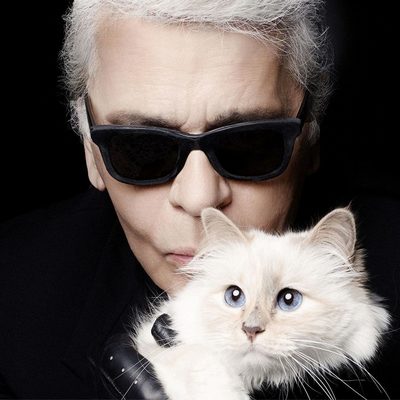 Кошка Лагерфельда может унаследовать часть состояния хозяина Кошка Лагерфельда может унаследовать часть состояния хозяина