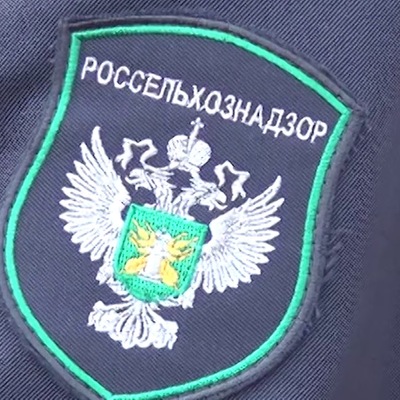 Россельхознадзор выразил опасение из-за риска мутации вируса АЧС Россельхознадзор выразил опасение из-за риска мутации вируса АЧС