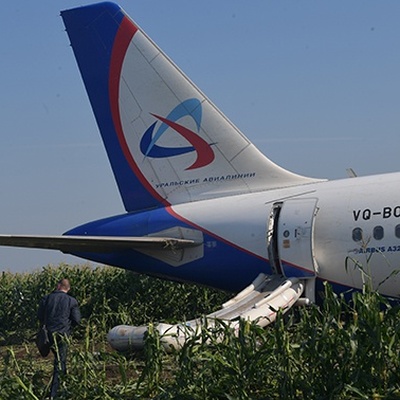 В Подмосковье началась подготовка к эвакуации самолета A321 В Подмосковье началась подготовка к эвакуации самолета A321