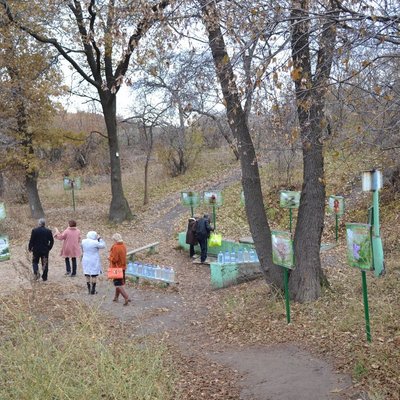 Пропал одиннадцатилетний мальчик из поселка Горный под Волгоградом Пропал одиннадцатилетний мальчик из поселка Горный под Волгоградом