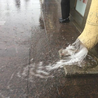 В Москве из-за непогоды повалено более десяти деревьев В Москве из-за непогоды повалено более десяти деревьев
