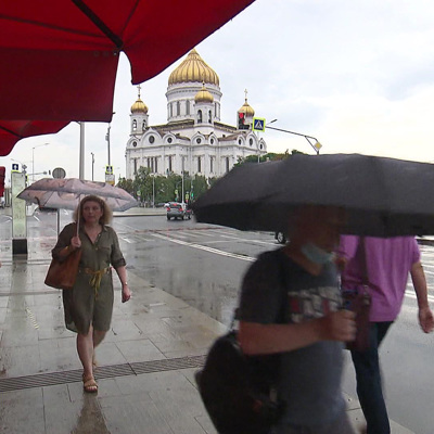 15 деревьев в пяти городах Подмосковья повалены из-за ливня 15 деревьев в пяти городах Подмосковья повалены из-за ливня