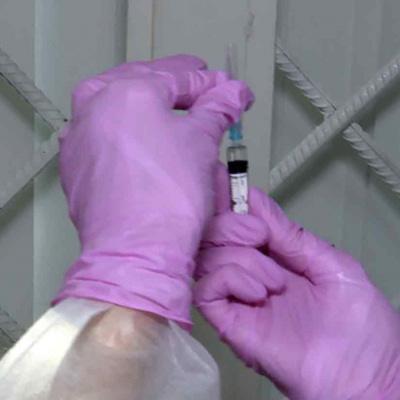 Вирус SARS-CoV-2 может быть известен миру с 2013 года Вирус SARS-CoV-2 может быть известен миру с 2013 года