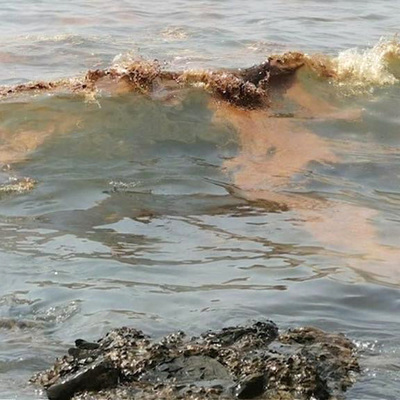 В море у посёлка Кабардинка в Геленджике обнаружено нефтяное пятно