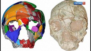 Обнаружены останки самого древнего человека в Европе