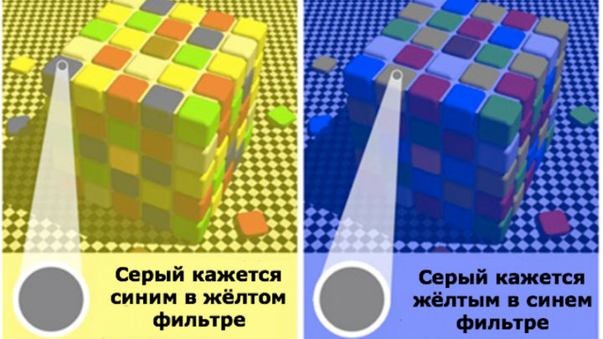 Каждый видит разный цвет Каждый видит разный цвет