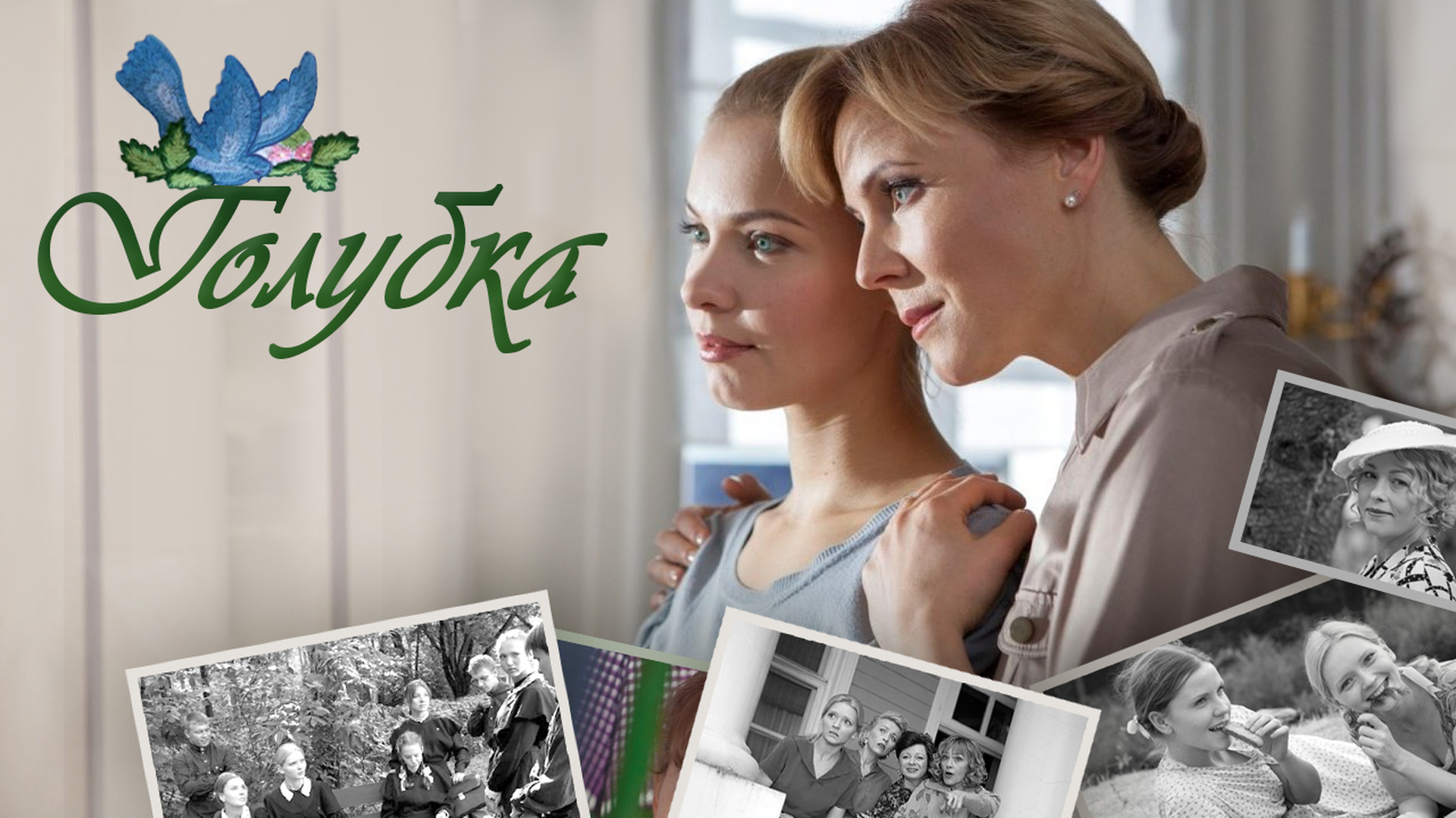 Красивые голуби. Семена капуста голуба седек. Берберийский голубь. Голубы паулин. Голубь бело серый.