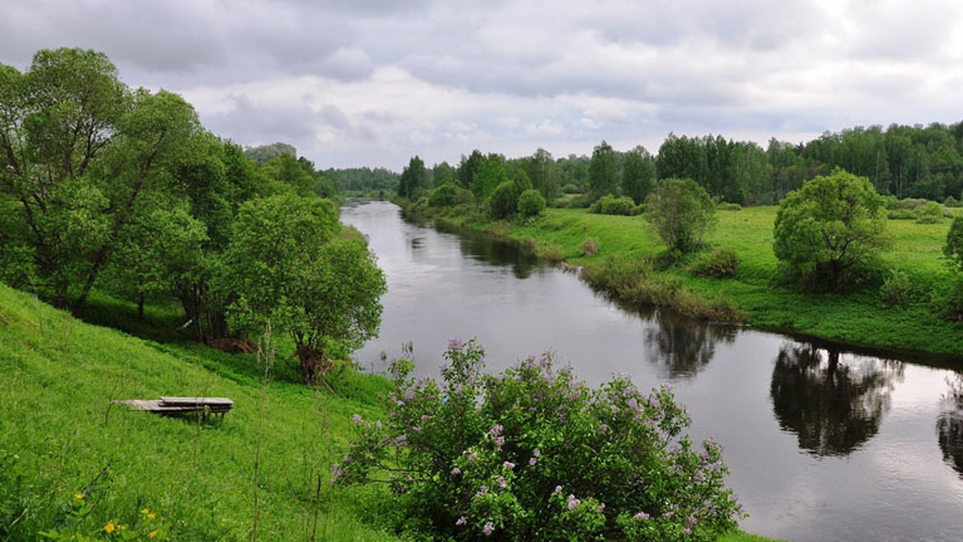 Река Вязьма в Смоленской области